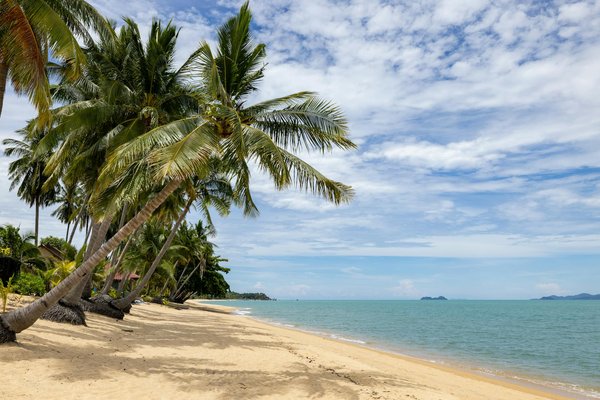 Sport et camping : faire rimer vacances avec dépense physique