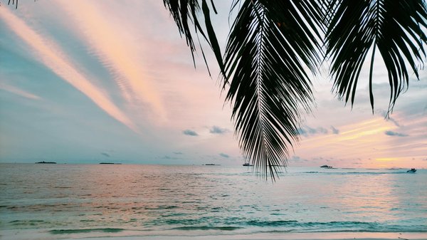 Découvrez les Tendances Innovantes du Tourisme de Luxe Familial en 2024